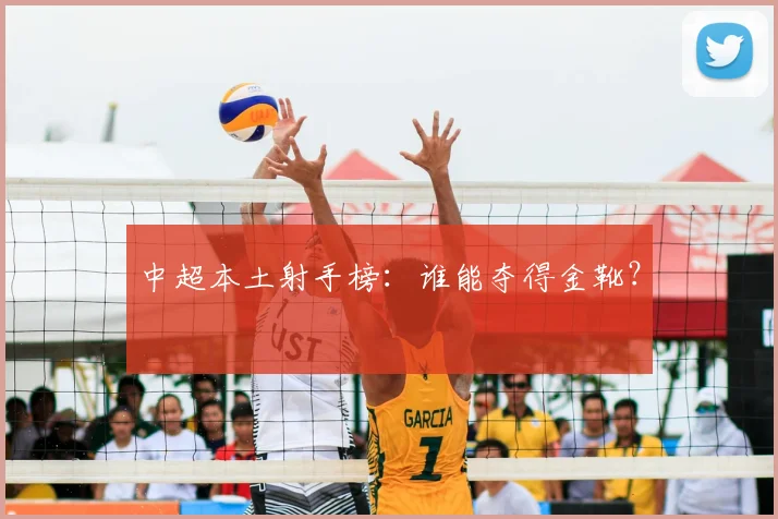 中超本土射手榜：谁能夺得金靴？